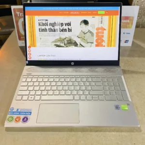 Laptop HP Pavilion 15-CS3063TX i7-1065G7/ 8GB/ 512GB/ 2GB - MX250/ Win10 (43FYJ4)