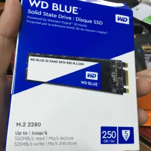 Ổ cứng Laptop WD BLUE 3D-NAND SATA M.2 2280/ 250GB – hàng mới chính hãng WD